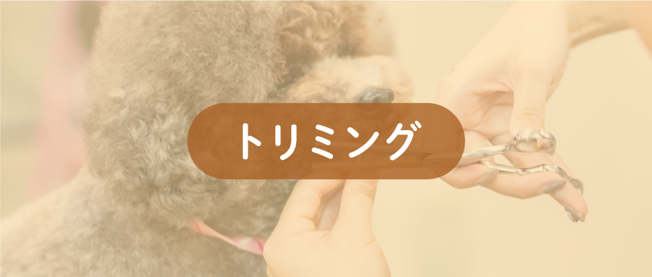 トリミングb