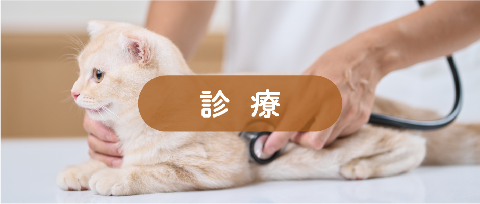 診療a