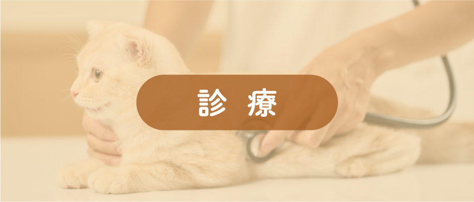 診療b