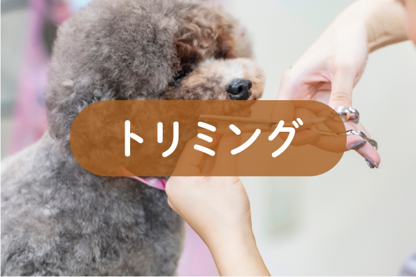トリミングa