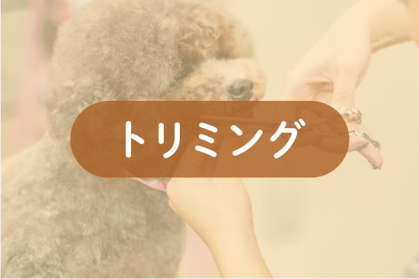 トリミングb